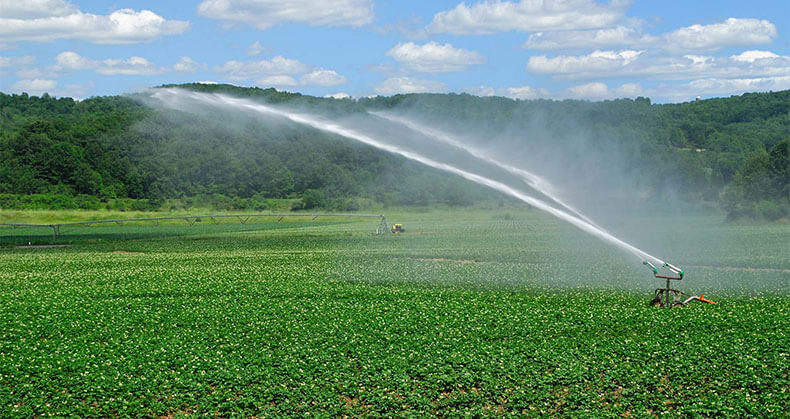 Water Irrigation Farming