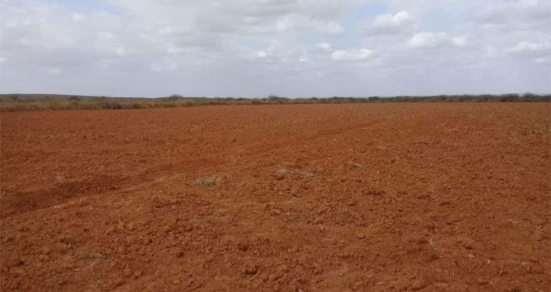 Investment starting in Somalia