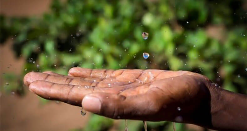 Rain Fed Farming